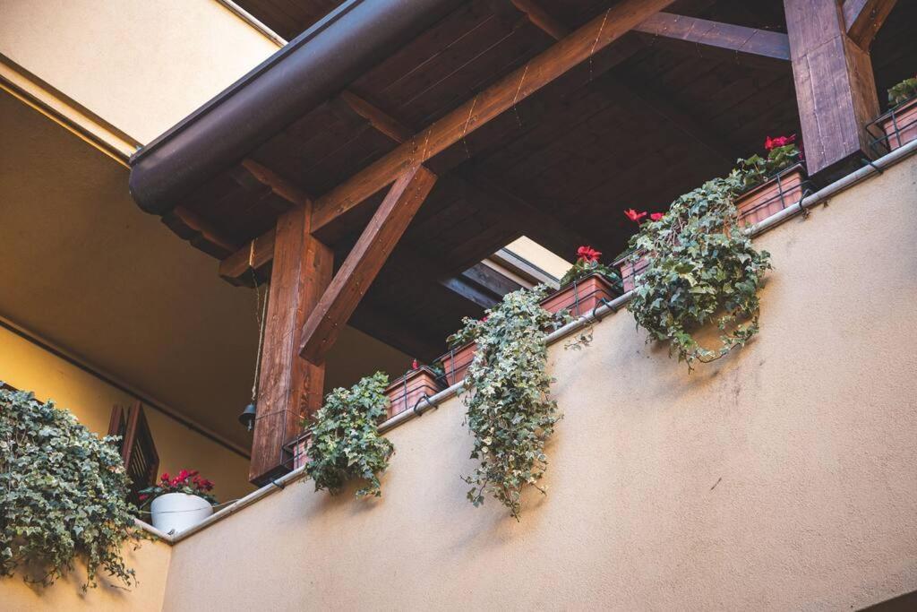 La Corte Apartment Monza - Milano + Free Wi-Fi Ліссоне Екстер'єр фото