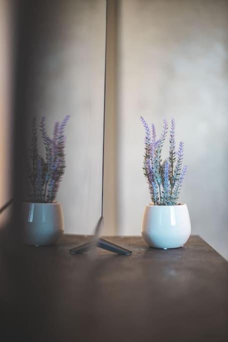 La Corte Apartment Monza - Milano + Free Wi-Fi Ліссоне Екстер'єр фото